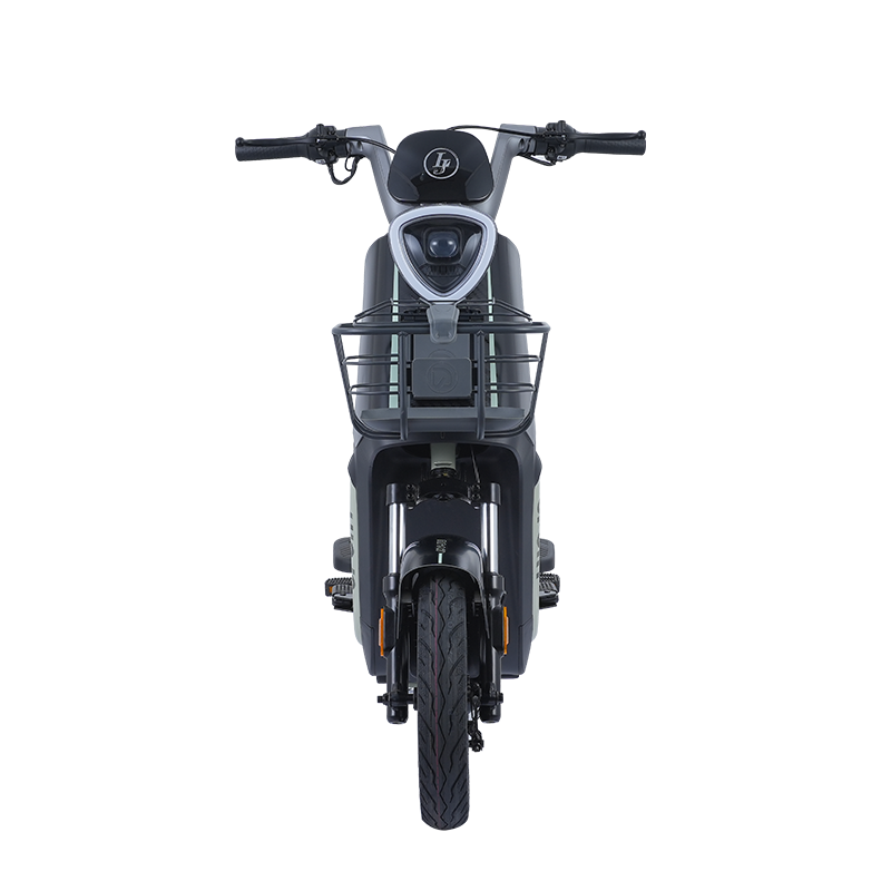 Max Speed's Cheetah E-Bike